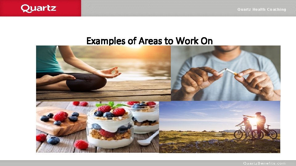 Quartz Health Coaching Examples of Areas to Work On 