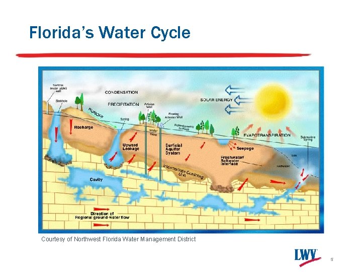 Florida’s Water Cycle Courtesy of Northwest Florida Water Management District 5 Florida’s Water Cycle Courtesy of Northwest Florida Water Management District 5