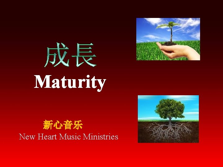 Maturity 新心音乐 New Heart Music Ministries 