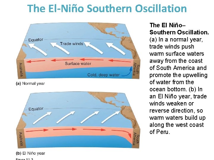The El-Niño Southern Oscillation The El Niño– Southern Oscillation. (a) In a normal year,
