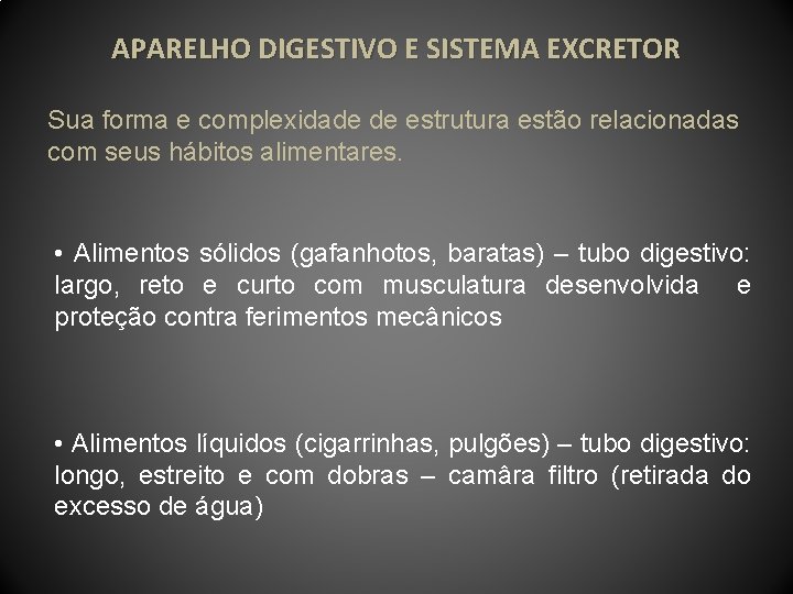 APARELHO DIGESTIVO E SISTEMA EXCRETOR Sua forma e complexidade de estrutura estão relacionadas com