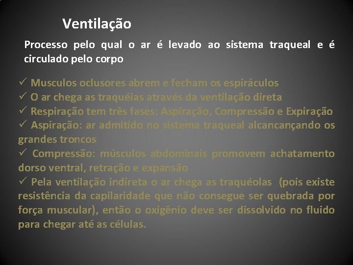 Ventilação Processo pelo qual o ar é levado ao sistema traqueal e é circulado
