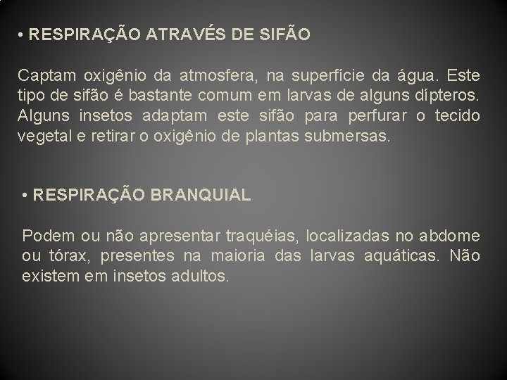  • RESPIRAÇÃO ATRAVÉS DE SIFÃO Captam oxigênio da atmosfera, na superfície da água.
