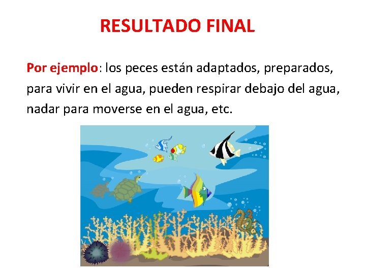 RESULTADO FINAL Por ejemplo: los peces están adaptados, preparados, para vivir en el agua,