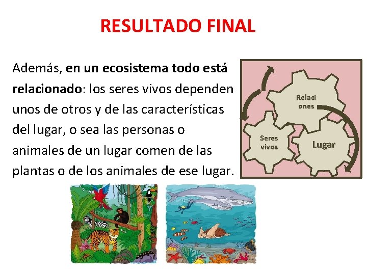 RESULTADO FINAL Además, en un ecosistema todo está relacionado: los seres vivos dependen unos