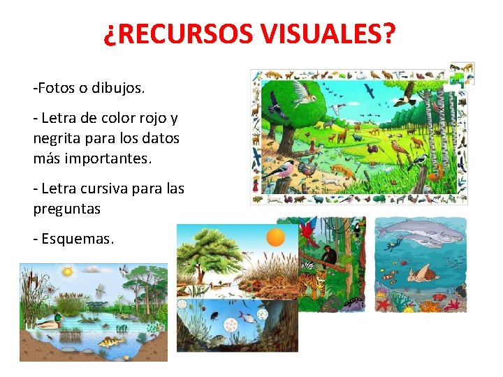 ¿RECURSOS VISUALES? -Fotos o dibujos. - Letra de color rojo y negrita para los ¿RECURSOS VISUALES? -Fotos o dibujos. - Letra de color rojo y negrita para los
