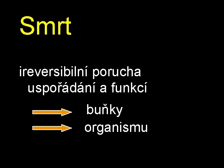 Smrt ireversibilní porucha uspořádání a funkcí buňky organismu 