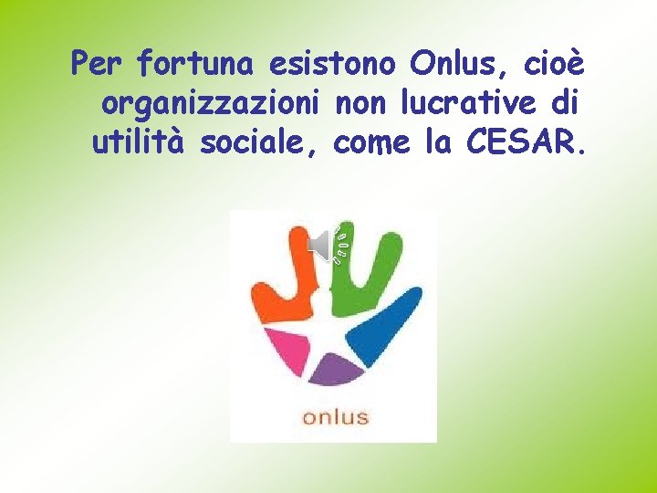 Per fortuna esistono Onlus, cioè organizzazioni non lucrative di utilità sociale, come la CESAR.