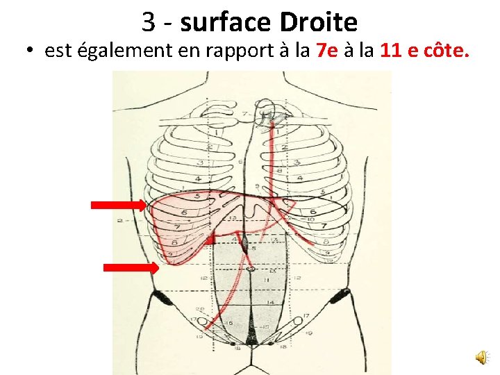 3 - surface Droite • est également en rapport à la 7 e à 3 - surface Droite • est également en rapport à la 7 e à