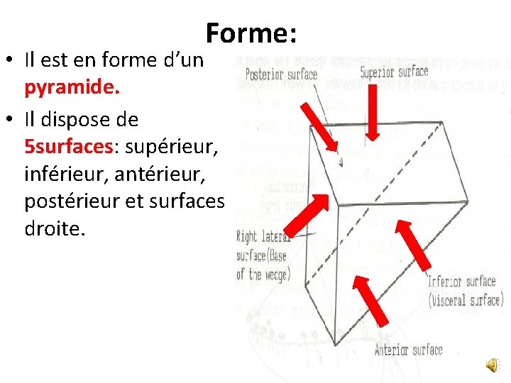 Forme: • Il est en forme d’un pyramide. • Il dispose de 5 surfaces: Forme: • Il est en forme d’un pyramide. • Il dispose de 5 surfaces: