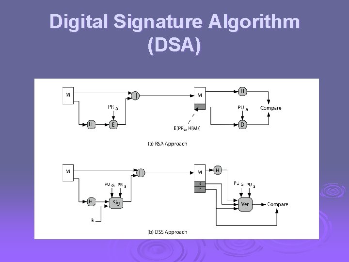 Digital Signature Algorithm (DSA) 