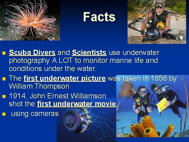 Facts n n Scuba Divers and Scientists use underwater photography A LOT to monitor Facts n n Scuba Divers and Scientists use underwater photography A LOT to monitor