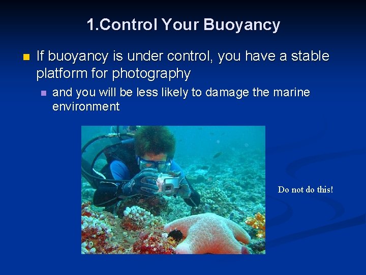 1. Control Your Buoyancy n If buoyancy is under control, you have a stable