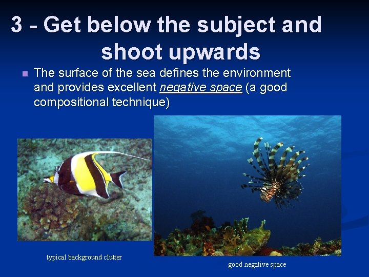 3 - Get below the subject and shoot upwards n The surface of the