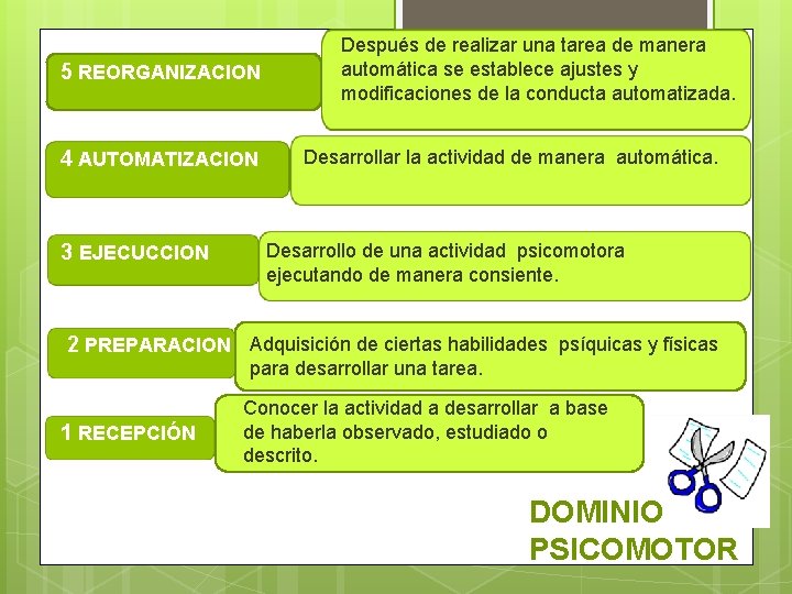 5 REORGANIZACION 4 AUTOMATIZACION 3 EJECUCCION Después de realizar una tarea de manera automática