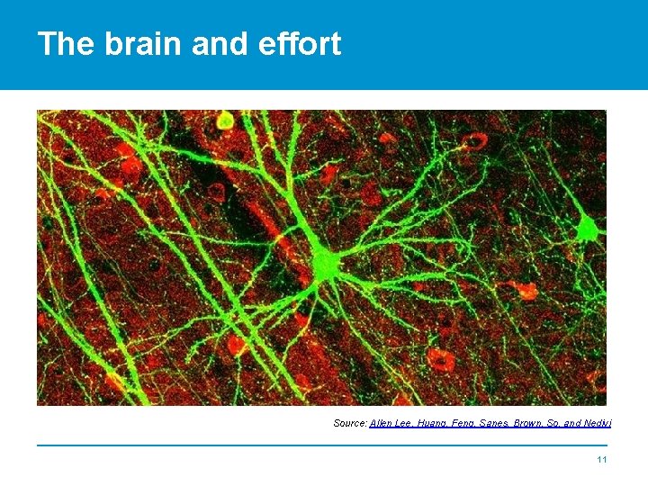 The brain and effort Source: Allen Lee, Huang, Feng, Sanes, Brown, So, and Nedivi