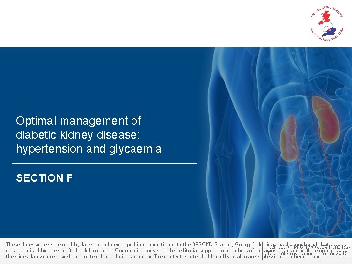 Optimal management of diabetic kidney disease: hypertension and glycaemia SECTION F These slides were