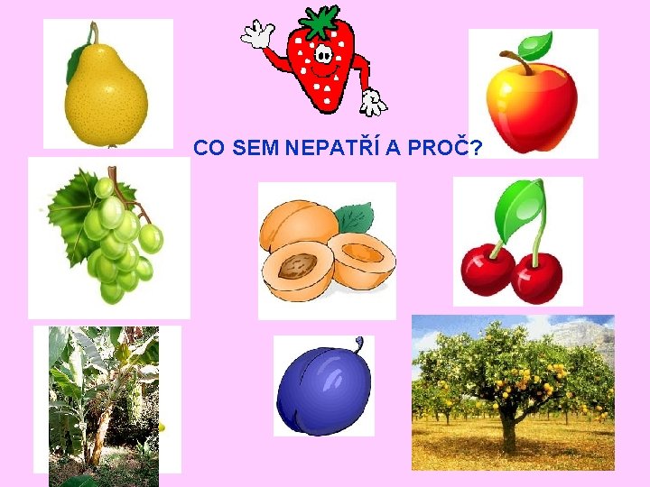 CO SEM NEPATŘÍ A PROČ? 