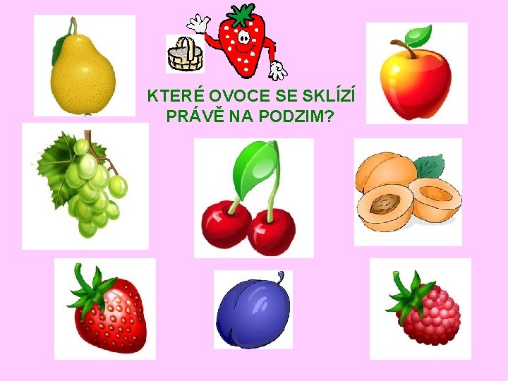 KTERÉ OVOCE SE SKLÍZÍ PRÁVĚ NA PODZIM? 