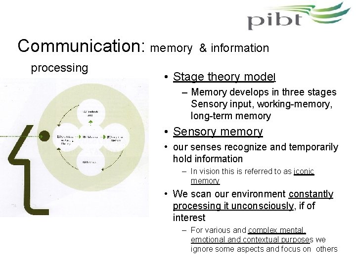 Communication: memory processing & information • Stage theory model – Memory develops in three