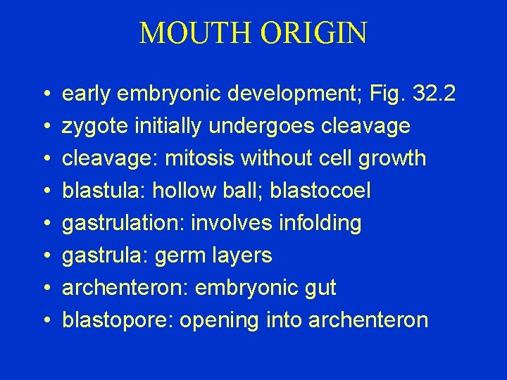 MOUTH ORIGIN • • early embryonic development; Fig. 32. 2 zygote initially undergoes cleavage: