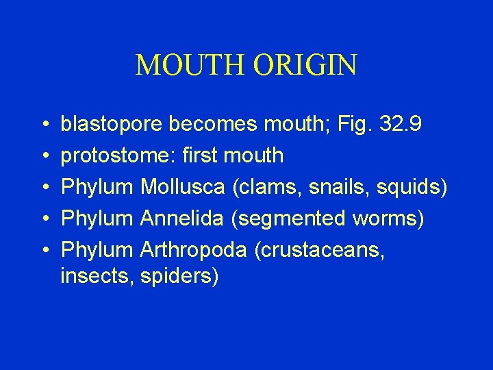 MOUTH ORIGIN • • • blastopore becomes mouth; Fig. 32. 9 protostome: first mouth