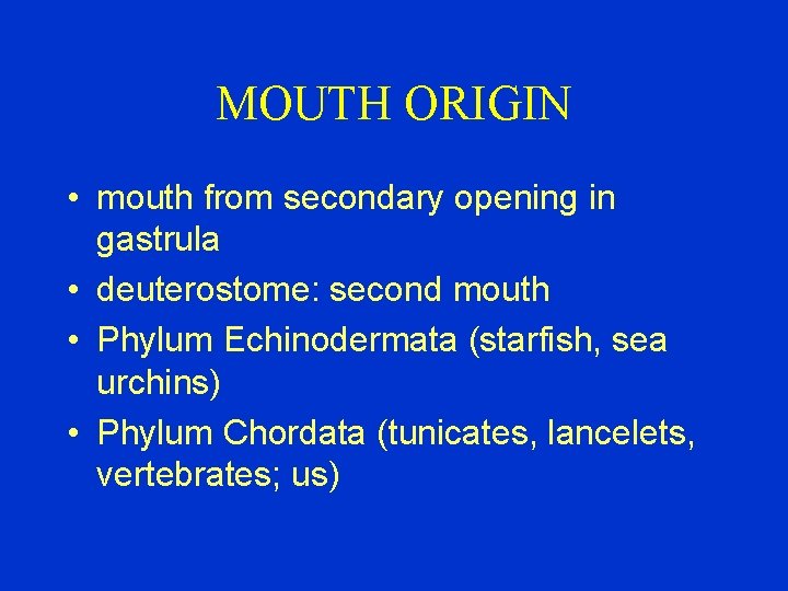 MOUTH ORIGIN • mouth from secondary opening in gastrula • deuterostome: second mouth •