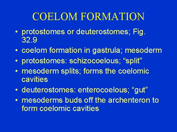 COELOM FORMATION • protostomes or deuterostomes; Fig. 32. 9 • coelom formation in gastrula;