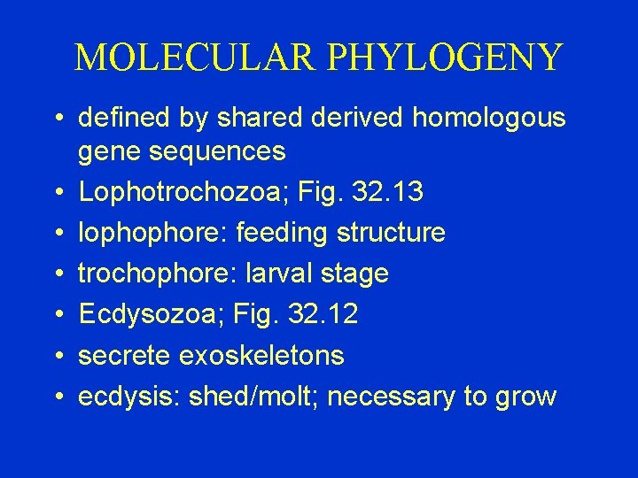 MOLECULAR PHYLOGENY • defined by shared derived homologous gene sequences • Lophotrochozoa; Fig. 32.