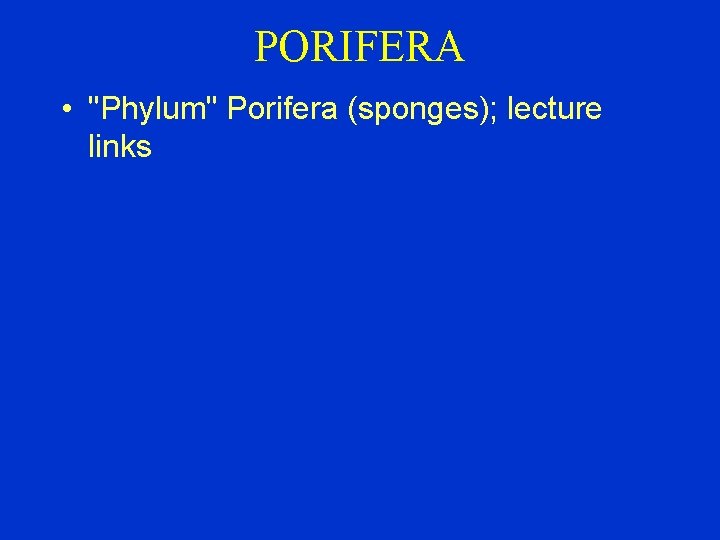 PORIFERA • "Phylum" Porifera (sponges); lecture links 
