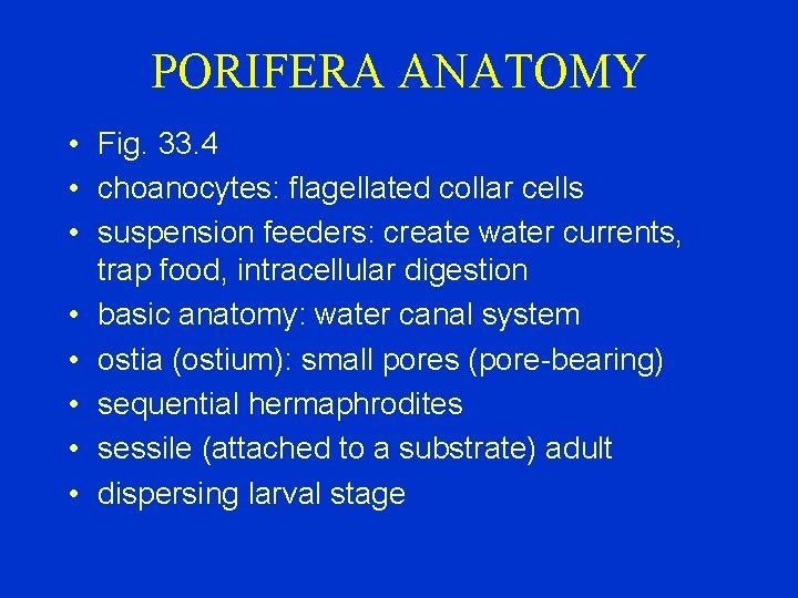 PORIFERA ANATOMY • Fig. 33. 4 • choanocytes: flagellated collar cells • suspension feeders: