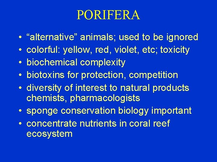 PORIFERA • • • “alternative” animals; used to be ignored colorful: yellow, red, violet,