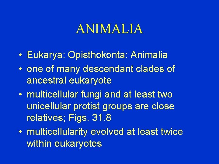ANIMALIA • Eukarya: Opisthokonta: Animalia • one of many descendant clades of ancestral eukaryote