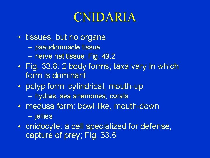 CNIDARIA • tissues, but no organs – pseudomuscle tissue – nerve net tissue; Fig.