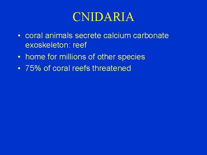 CNIDARIA • coral animals secrete calcium carbonate exoskeleton: reef • home for millions of