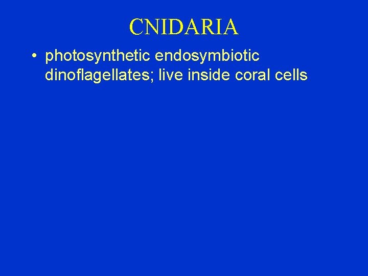 CNIDARIA • photosynthetic endosymbiotic dinoflagellates; live inside coral cells 