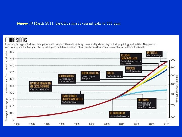 Nature 10 March 2011; dark blue line is current path to 800 ppm 