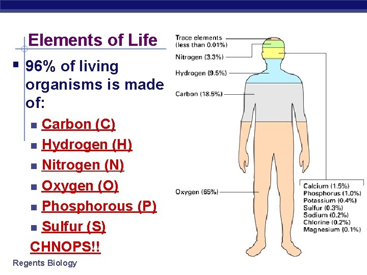 Elements of Life § 96% of living organisms is made of: Carbon (C) n