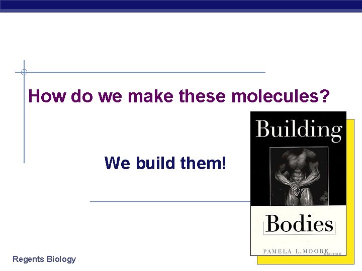 How do we make these molecules? We build them! Regents Biology 2006 -2007 