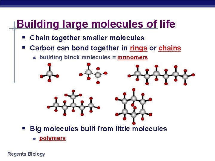 Building large molecules of life § Chain together smaller molecules § Carbon can bond