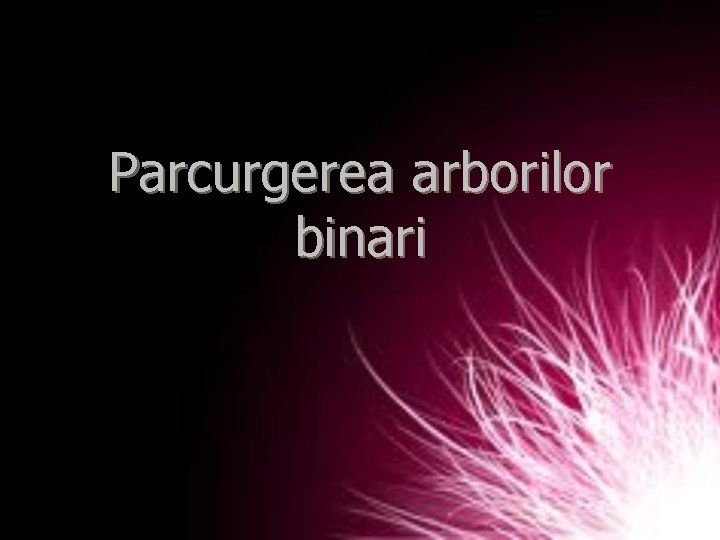 Parcurgerea arborilor binari 