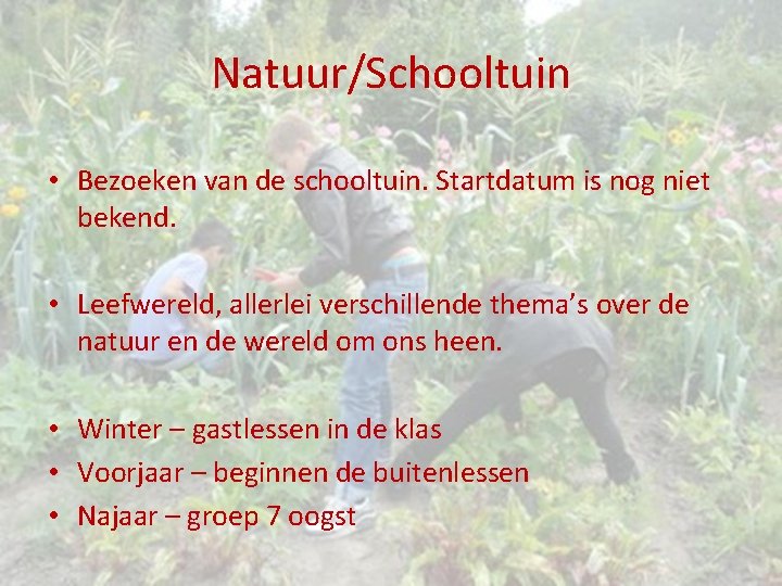 Natuur/Schooltuin • Bezoeken van de schooltuin. Startdatum is nog niet bekend. • Leefwereld, allerlei