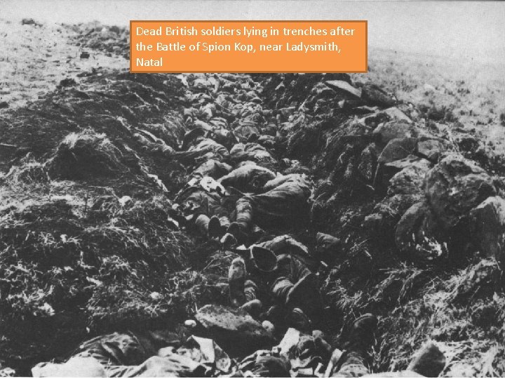 Dead British soldiers lying in trenches after the Battle of Spion Kop, near Ladysmith,