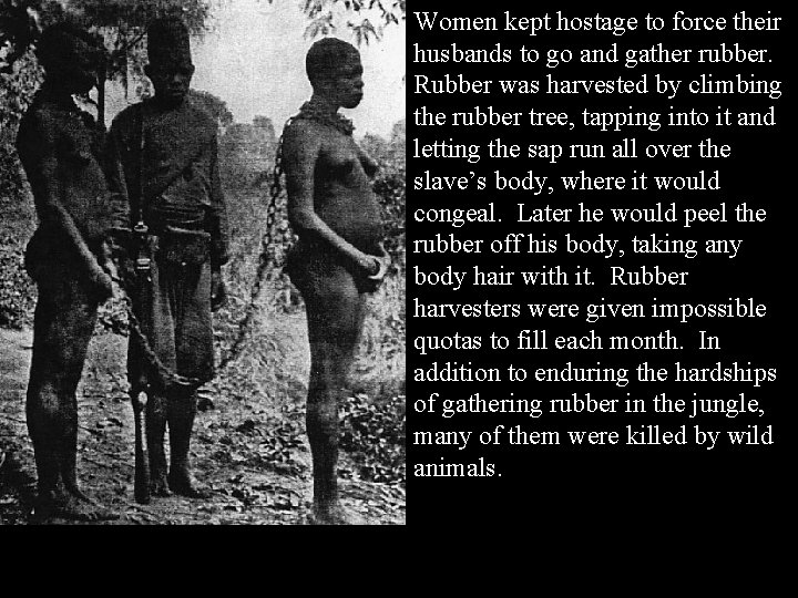 Women kept hostage to force their husbands to go and gather rubber. Rubber was