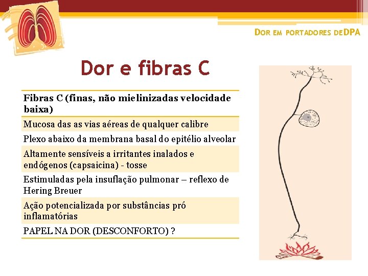 DOR EM PORTADORES DE DPA Dor e fibras C Fibras C (finas, não mielinizadas