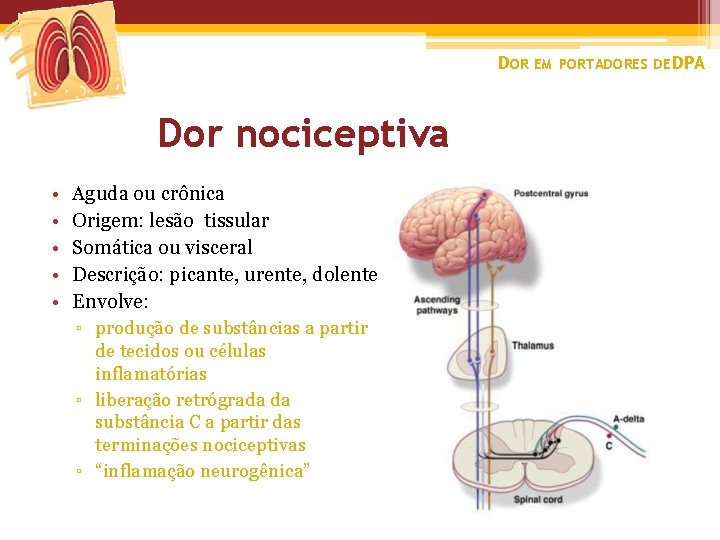 DOR EM PORTADORES DE DPA Dor nociceptiva • • • Aguda ou crônica Origem: