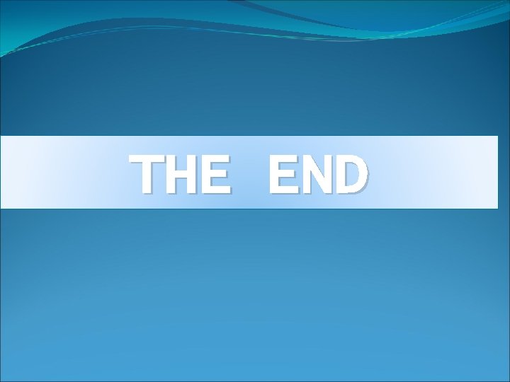 THE END 