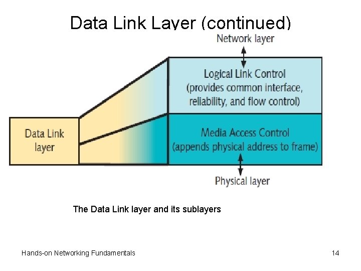 Data Link Layer (continued) The Data Link layer and its sublayers Hands-on Networking Fundamentals