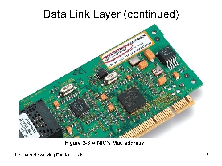 Data Link Layer (continued) Figure 2 -6 A NIC’s Mac address Hands-on Networking Fundamentals