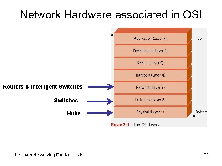Network Hardware associated in OSI Routers & Intelligent Switches Hubs Hands-on Networking Fundamentals 28